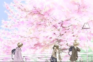 91芒果tv